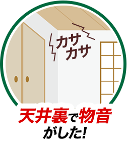 天井裏で物音がした!