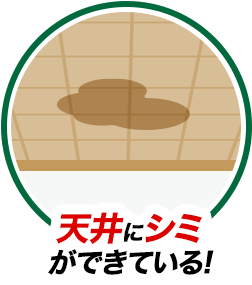 天井にシミができている!