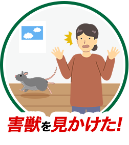 害獣を見かけた!