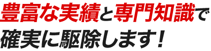豊富な実績と専門知識で確実に駆除します