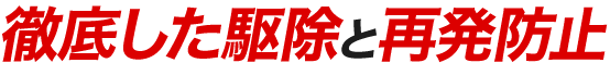 徹底した駆除と再発防止
