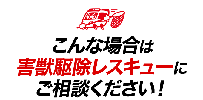 こんな場合は害獣駆除レスキューにご相談ください!