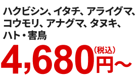 ハクビシン、イタチ、アライグマ、コウモリ、アナグマ、タヌキ、ハト・害鳥 4,680円~
