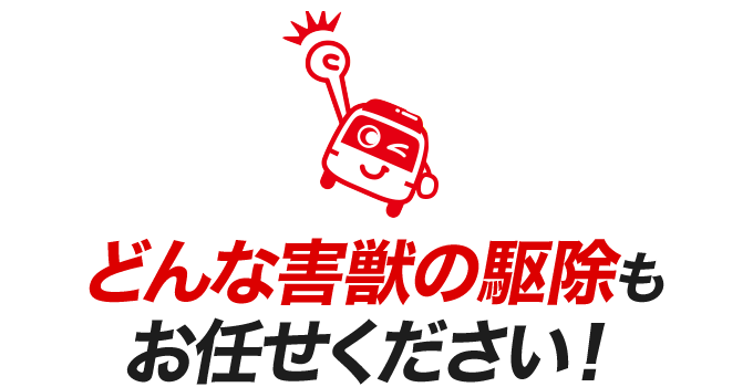 どんな害獣の駆除もお任せください!
