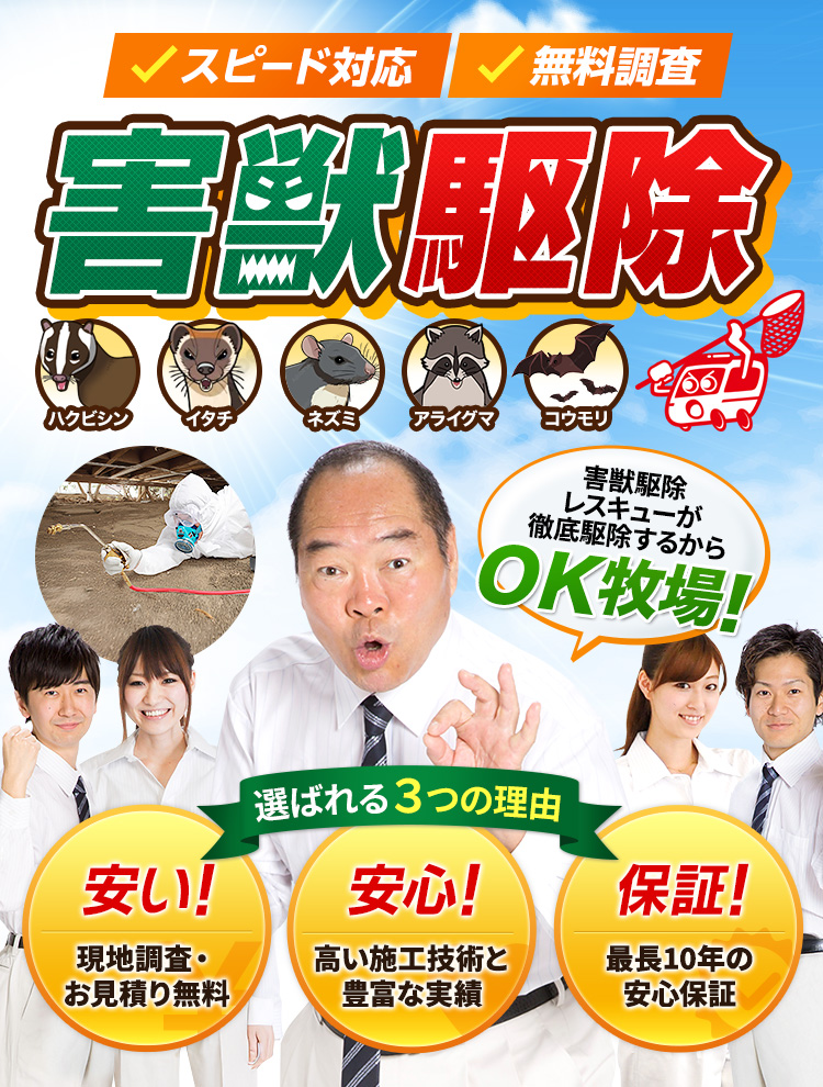 害獣駆除なら害獣駆除レスキュー
