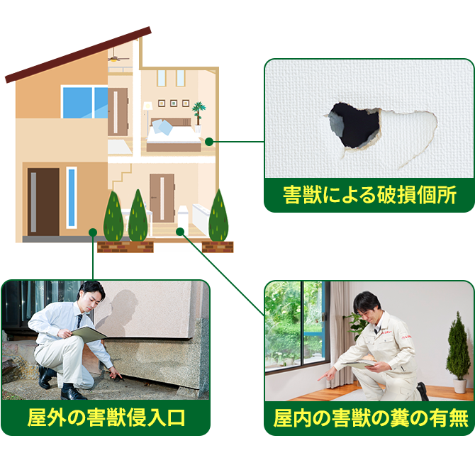 害獣駆除のプロがこんな場所を調査します