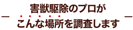 害獣駆除のプロがこんな場所を調査します