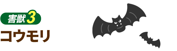 コウモリ