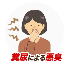 糞尿による悪臭